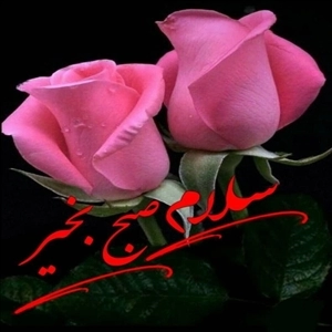 لوگو مجلل